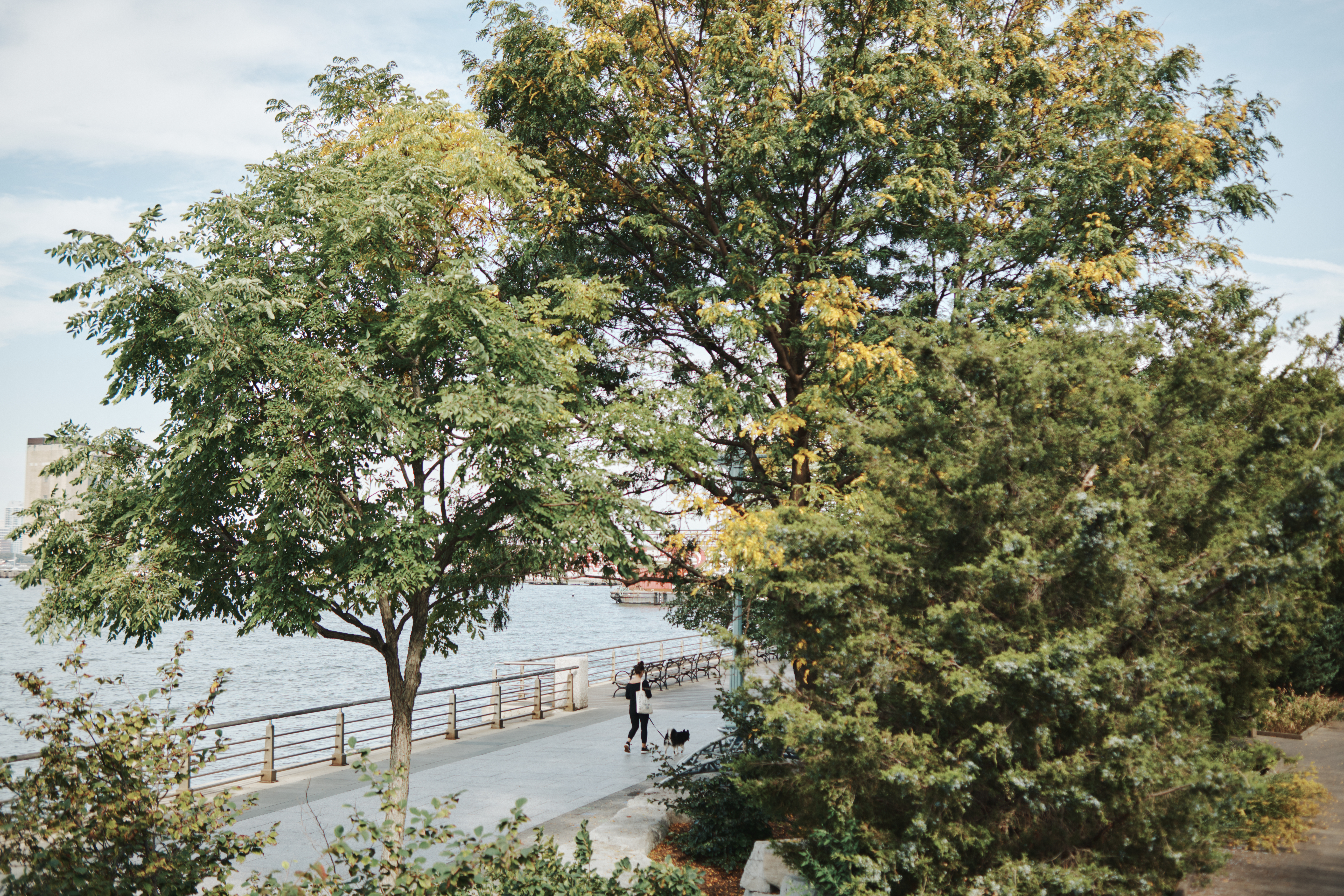 waterfront trail
